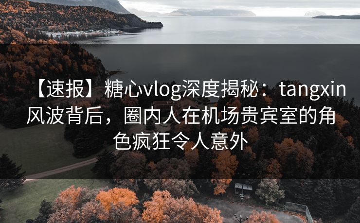 【速报】糖心vlog深度揭秘：tangxin风波背后，圈内人在机场贵宾室的角色疯狂令人意外